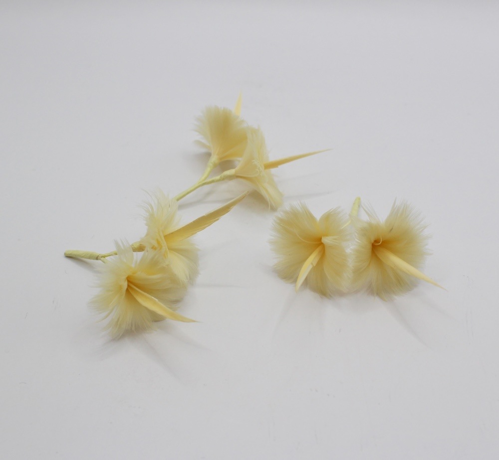 LLOW 3pin Yellow（ロー）