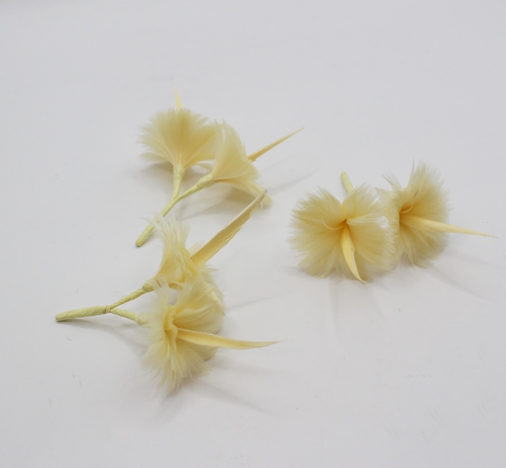 LLOW 3pin Yellow（ロー）