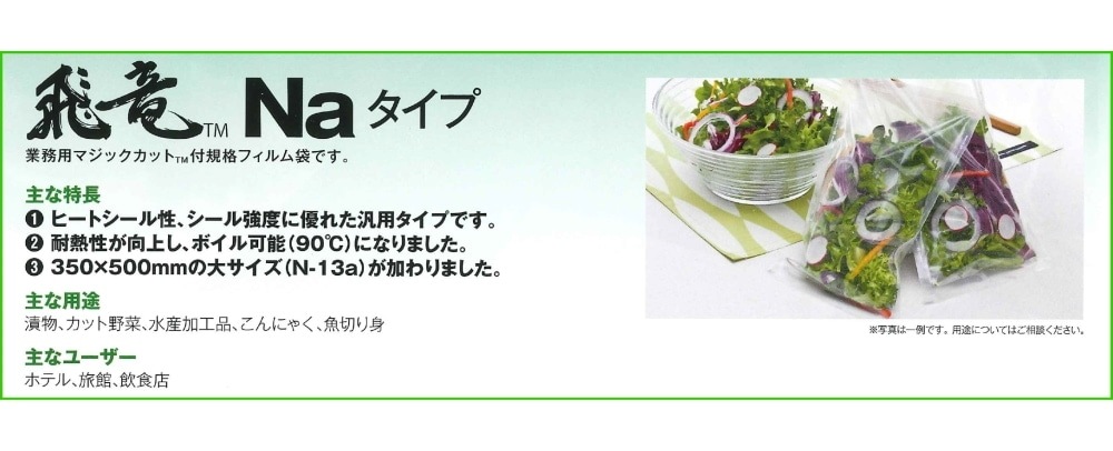 飛竜 N-4a 2000枚 Nタイプ ナイロンポリ袋