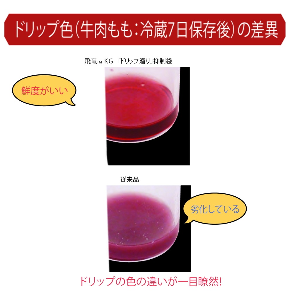 飛竜 KG2435a 300枚 KGタイプ ナイロンポリ袋