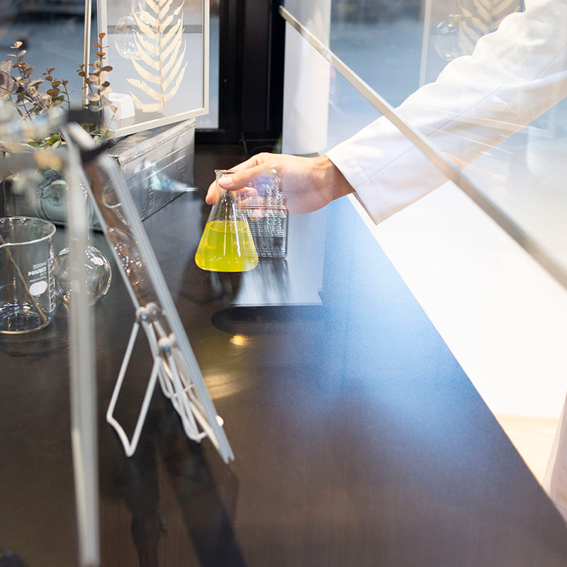 卓上フード Crystalline クリスタライン