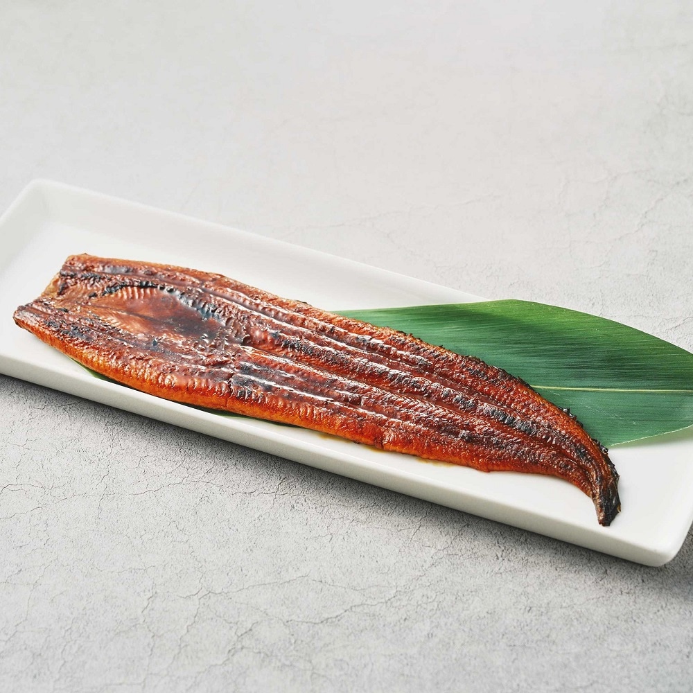 U4B 静鰻うなぎ4尾セット