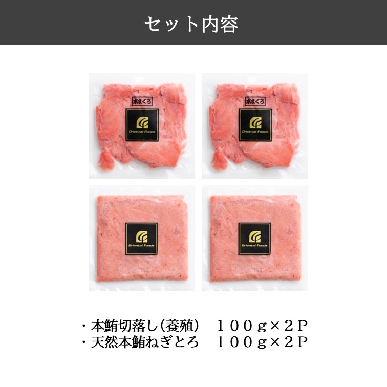 F　本鮪セット