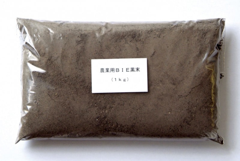 �ڤ����ѡ������ѥߥͥ��BIE����