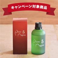 ������ �ץ��ȥޥ��� 5%