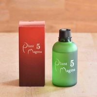 ������ �ץ��ȥޥ��� 5%
