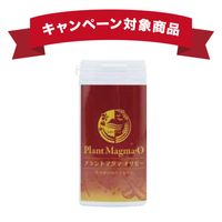 �ץ��ȥޥ��ޡ����ꥼ�� 50g(��160γ)