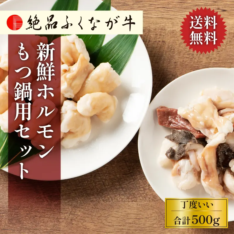 絶品ふくなが牛 新鮮ホルモンもつ鍋用セット 500g