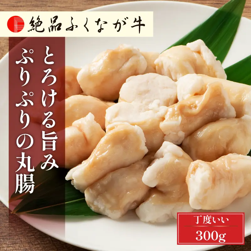 絶品ふくなが牛 とろける旨み ぷりぷりの丸腸 300g