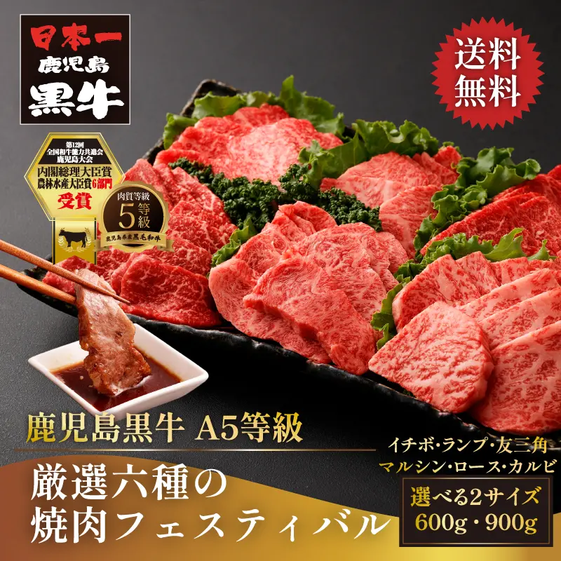鹿児島黒牛 厳選六種の焼肉フェスティバル 600g／900g｜和牛・国産牛