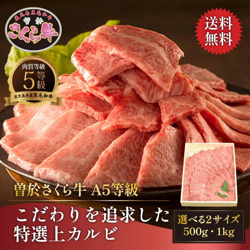 曽於さくら牛 こだわりを追求した特選上カルビ焼肉用 500g／1kg