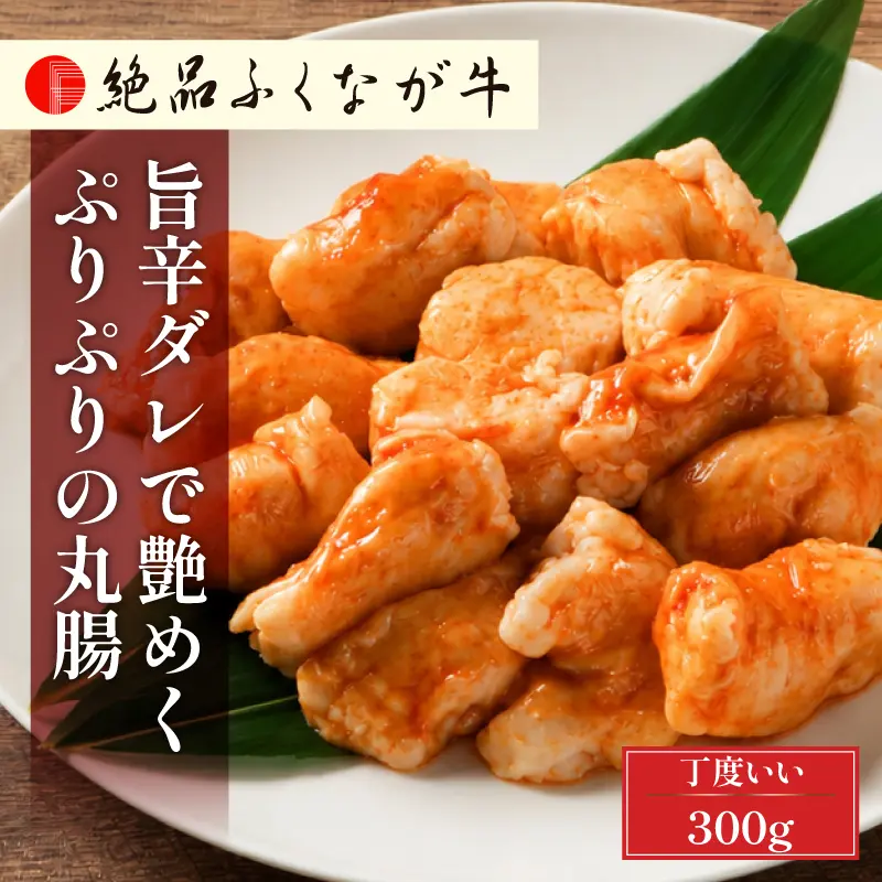 絶品ふくなが牛 旨辛ダレで艶めく ぷりぷりの丸腸 300g