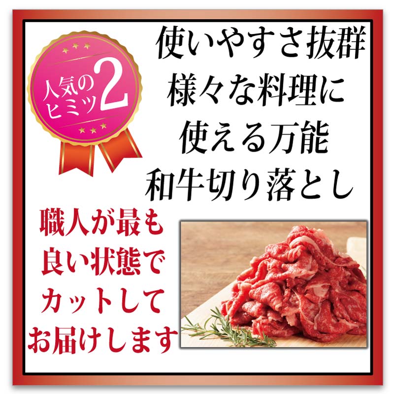 黒毛和牛 鹿児島黒牛 A4 A5 等級 和牛切り落とし 【選べる5サイズ／500g 3,780円/1kg 6,480円/2kg 11,880円/3kg 15,980円/5kg 25,980円】 トレー仕様 冷凍限定 送料無料 通販 お取り寄せ