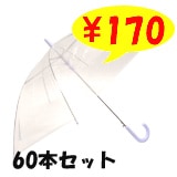 ��55cm�ӥˡ��뻱�� Ʃ���ʥ��ꥢ�ˡ������׼���60�ܥ��åȡ�1��������