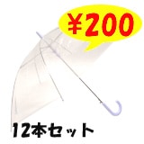 ��55cm�ӥˡ��뻱�� Ʃ���ʥ��ꥢ�ˡ������׼���12�ܥ��å�