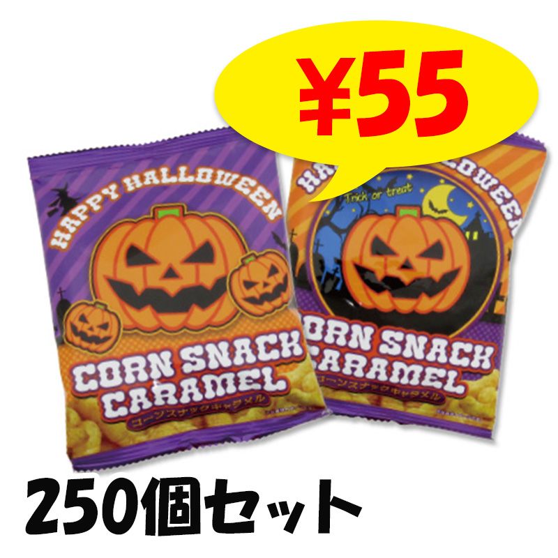 �ϥ������� �����󥹥ʥå�������� 250�ġʡ�12129��