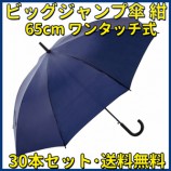 �١����å��ӥå������׻��ʥͥ��ӡ���30�ܥ��åȡ����緿�����׼������������� #2318530