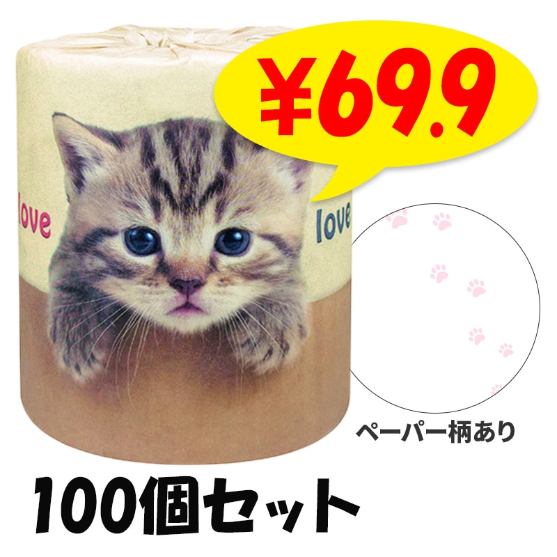 ��äѤ�ǭ�������ȥ���åȥ����� 100�ĥ��å�(1c/s) ǭ�ȥ���åȥڡ��ѡ����ͥ�­�ץ��饹���դ�