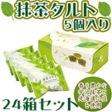 ���㥿��ȡ�5�����ꡡ24Ȣ���å�