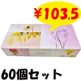 Flowers�ղ� �ܥå����ƥ��å��� 120W 60�� ���å�(1c/s)