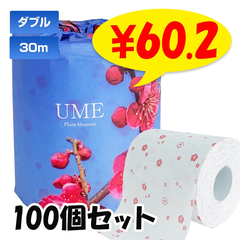 青海波 トイレットペーパー 100個(1c/s)｜卸スタジアム