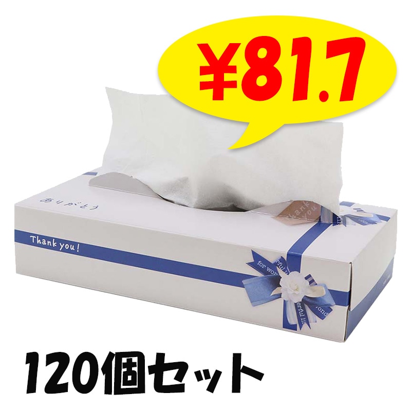 ありがとう BOXティッシュ 120W 120個セット(2c/s) 【20120142