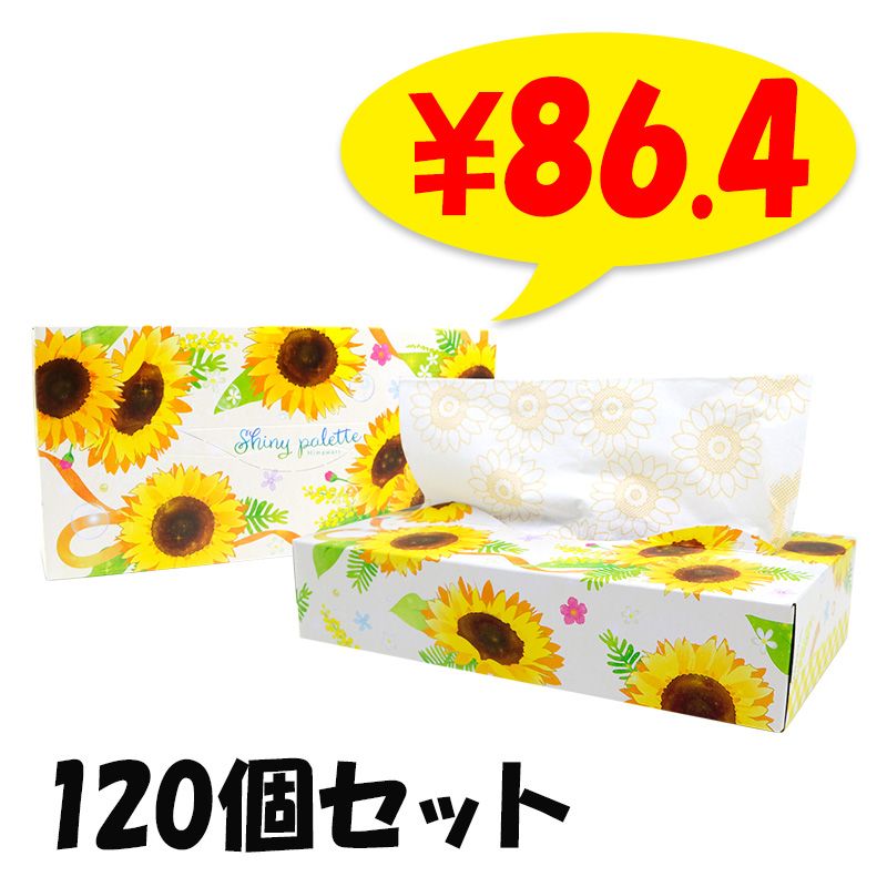 2025 Ҥޤƥåܥå120W 120ĥå(2c/s) ܥåƥå