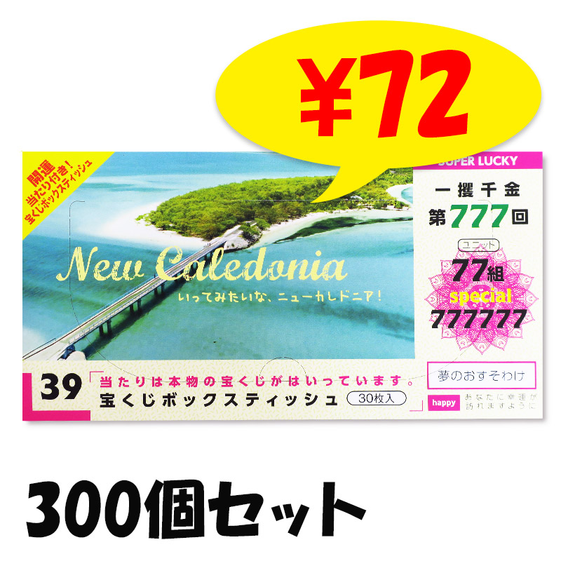 宝くじBOXティッシュ30W 100個(1c/s)｜卸スタジアム