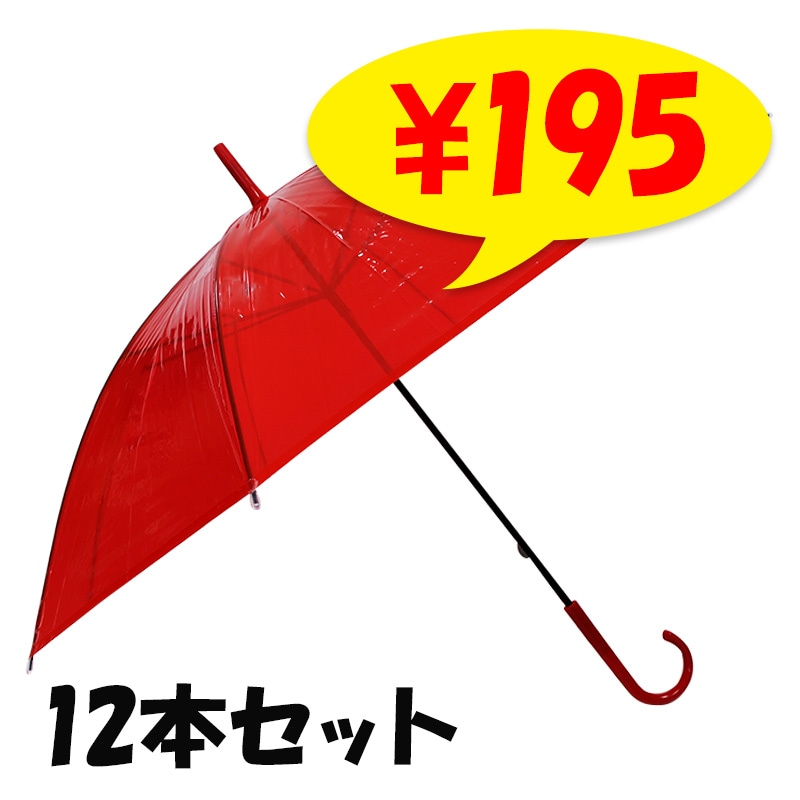 �ӥˡ��뻱50cm ���顼 �֡ʥ�åɡ� 12�ܥ��å�