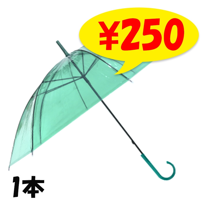 �ӥˡ��뻱50cm�����顼 �С�1��(����ץ�)