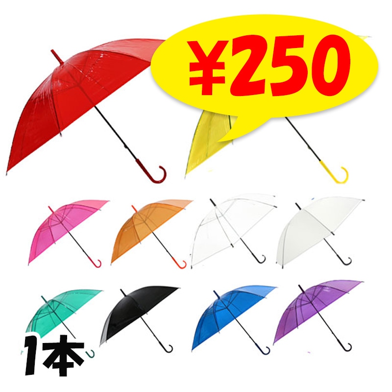 �ӥˡ��뻱 50cm ���顼�������� 1�ܥ��å�(����ץ�) 