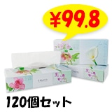 �ڥ᡼���������Flowers ���� BOX�ƥ��å���120W 120�ĥ��å�(2c/s)