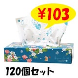 HanaSmile �� BOX�ƥ��å���120�� 120�ĥ��å�(2c/s)