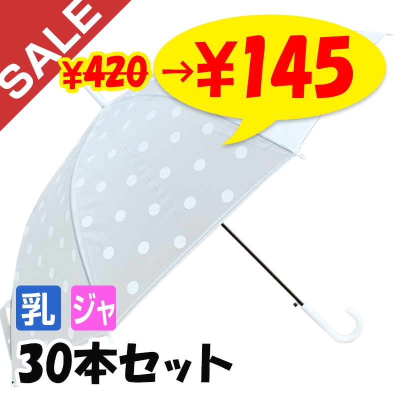 10/6まで取置き 西空白 さま専用！！ CHANEL ビニール