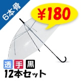 �ڽ����50cm �ӥˡ��뻱 6�ܹ� �곫�������� Ʃ�� 12�ܥ��å�