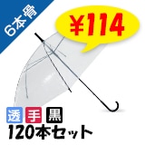 �ڽ����50cm �ӥˡ��뻱 6�ܹ� �곫�������� Ʃ�� 120�ܥ��å�(2c/s)