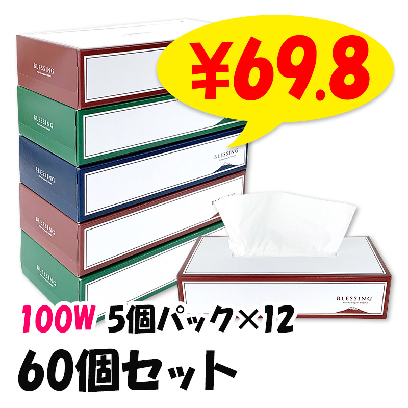 受注生産】ボックスティッシュ BLESSING エコ寸 * 100W * 5個パック×12