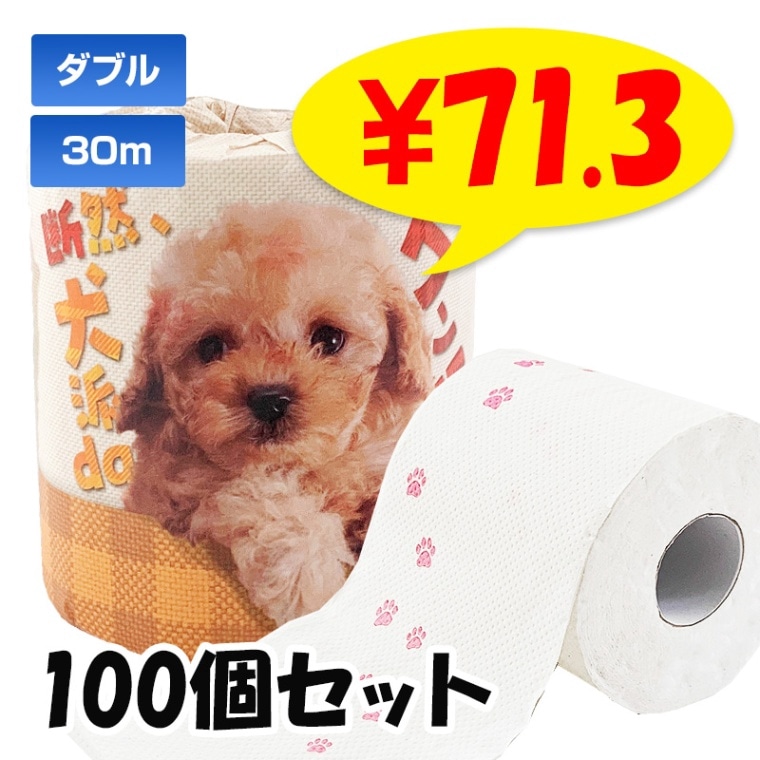 ����������da��󡪥ȥ���åȥڡ��ѡ� 1R 100��(1c/s)