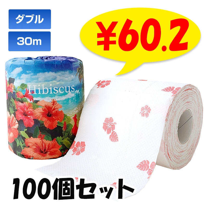 �ϥ��ӥ����� �ȥ���åȥڡ��ѡ� 1R 100�ĥ��å�(1c/s)