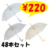 �ӥˡ��뻱58���������󥸿������48�ܥ��åȡ�48�ܡ�1c/s��