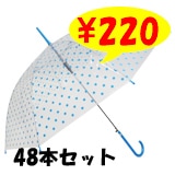 �ӥˡ��뻱58������֥�å��������48�ܥ��åȡ�48�ܡ�1c/s��