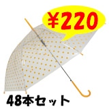 �ӥˡ��뻱58���������󥸿������48�ܥ��åȡ�48�ܡ�1c/s��