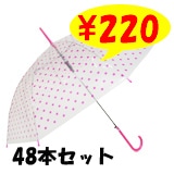 �ӥˡ��뻱58������ԥ󥯿������48�ܥ��åȡ�48�ܡ�1c/s��