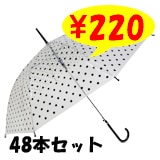 �ӥˡ��뻱58������֥�å��������48�ܥ��åȡ�48�ܡ�1c/s��