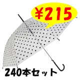 �ӥˡ��뻱58������֥�å��������240�ܥ��åȡ�48�ܡ�5c/s��