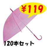 ӥˡ뻱50cm顼 ʥԥ󥯡ˡ120ܥåȡ60ܡ2c/s