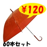 ӥˡ뻱50cm顼 ֿʥåɡˡ60ܥåȡ60ܡ1c/s