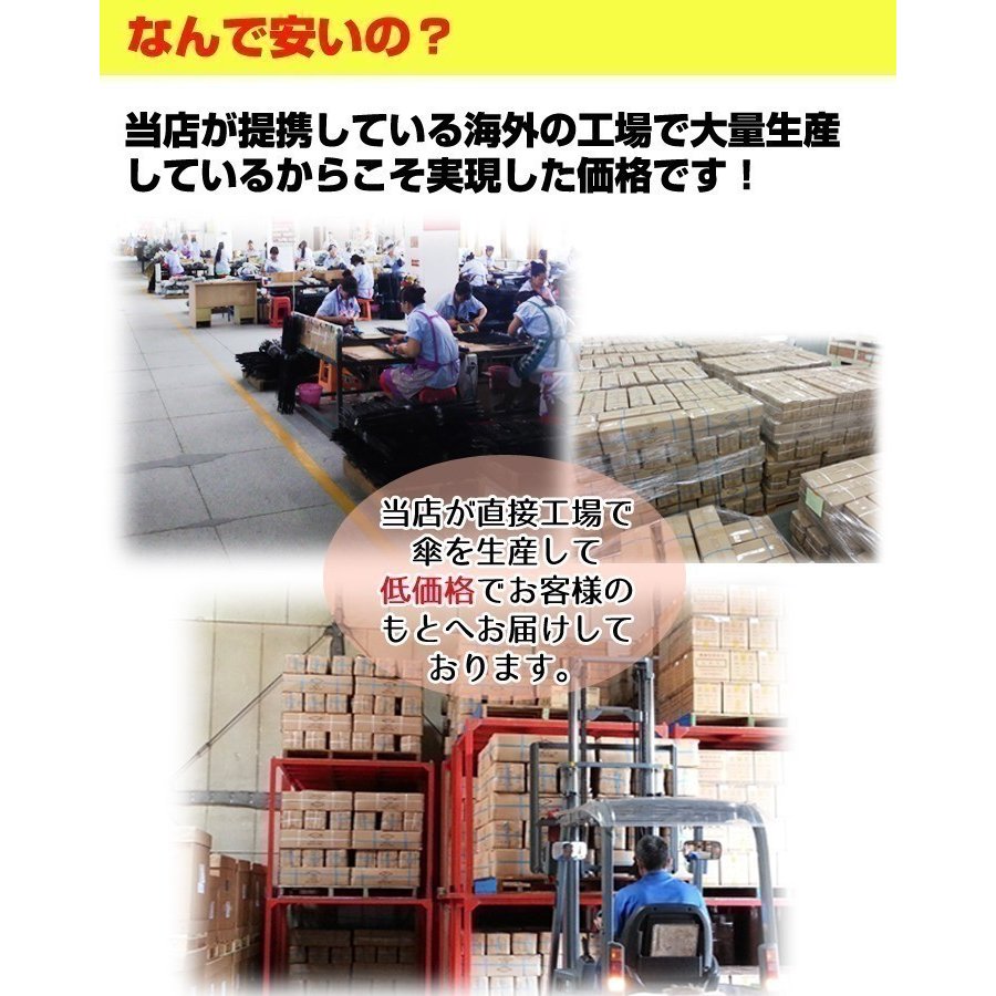 60cm ���顼�ӥˡ��뻱 �������٤륫�顼�������� 180�ܥ��åȡ�3c/s��