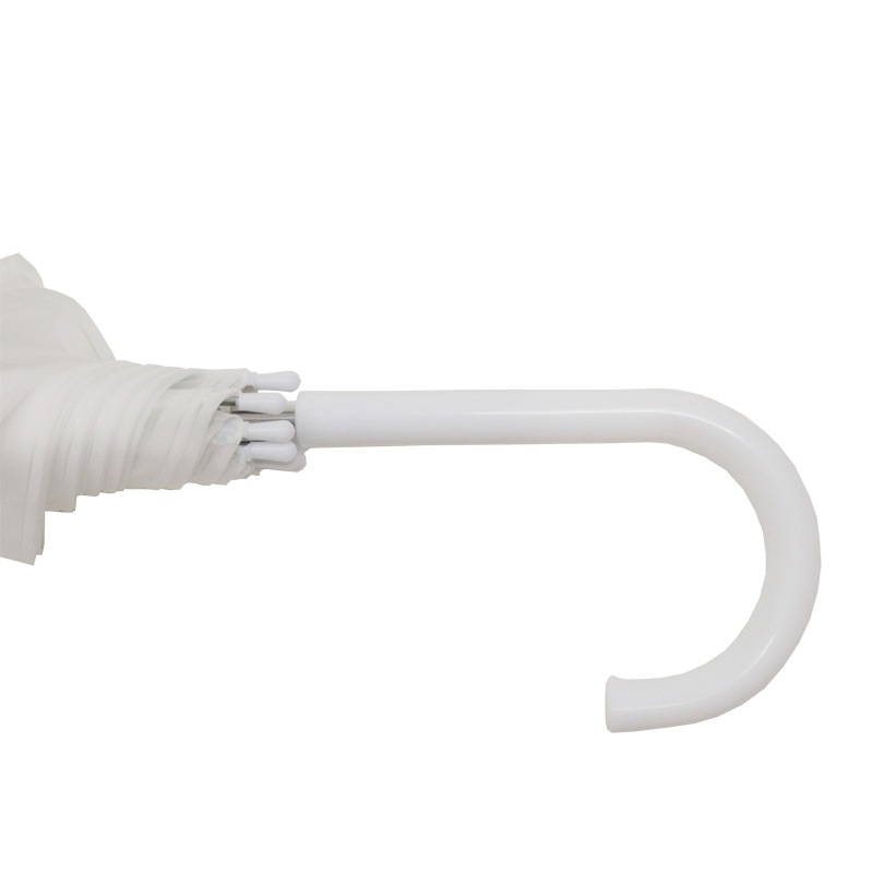 60cm ���顼�ӥˡ��뻱 �������٤륫�顼�������� 180�ܥ��åȡ�3c/s��