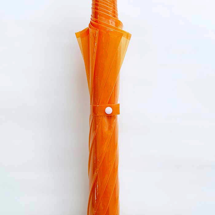 60cm ���顼�ӥˡ��뻱 �������٤륫�顼�������� 180�ܥ��åȡ�3c/s��